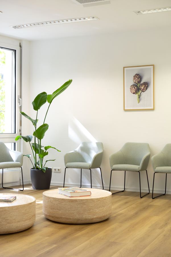 Waiting room with light-green armchairs, travertine tables and plants